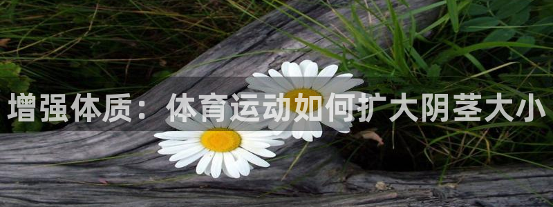 胜天国际3登录