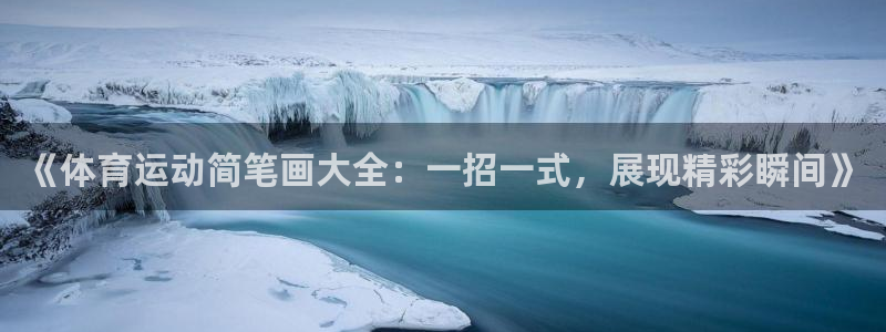 胜天国际4代理