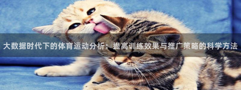 胜天国际体育app下载