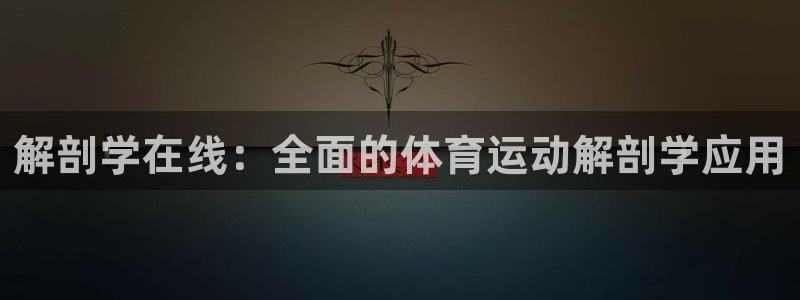 意昂体育4