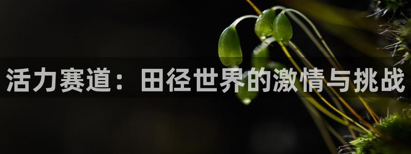 胜天国际集团总部
