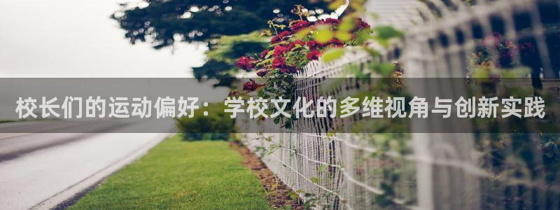 胜天国际体育在线注册