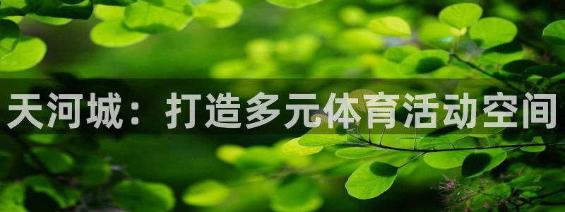 意昂平台主管