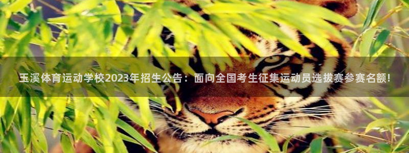 胜天国际4注册