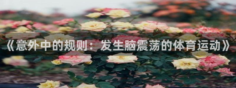 福建意昂机电股份公司
