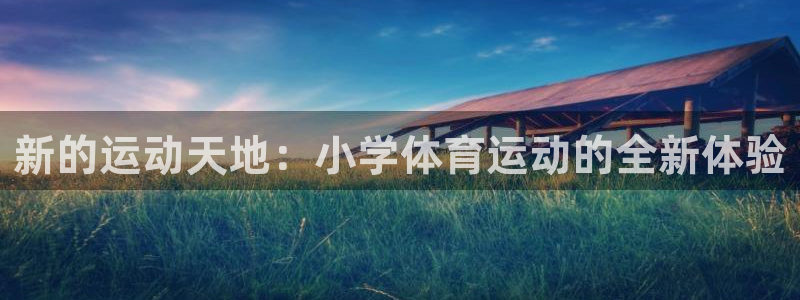 胜天国际4官网