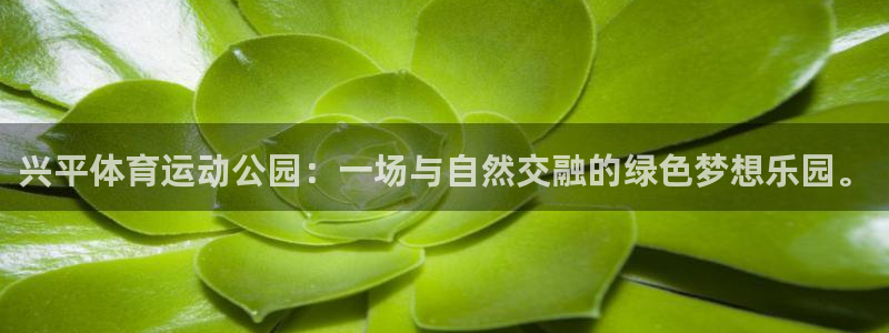 东莞市意昂电子科技有限公司
