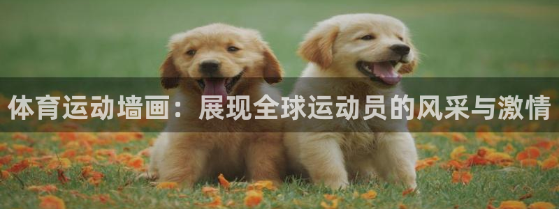 胜天国际体育f开户