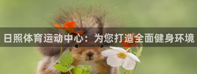 胜天国际体育2官网入口