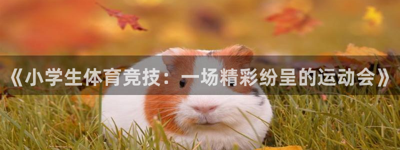 胜天国际凯捷平台注册链接