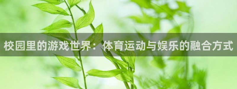 意昂3平台