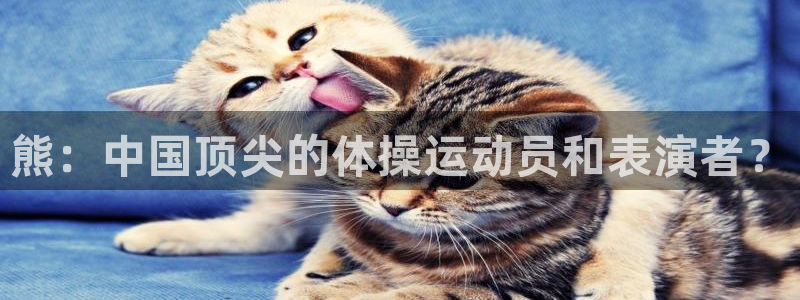 意昂体育2