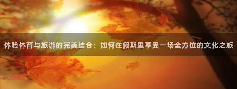 胜天国际包怎么样