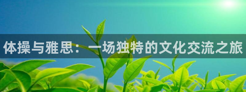胜天国际体育凯捷平台招商