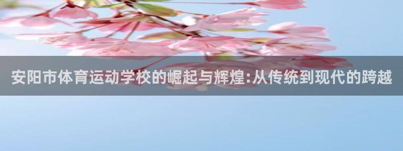 胜天国际体育app下载