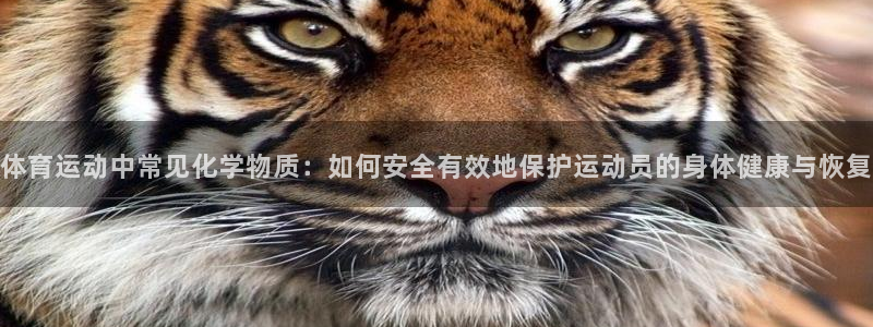 胜天国际集团官网