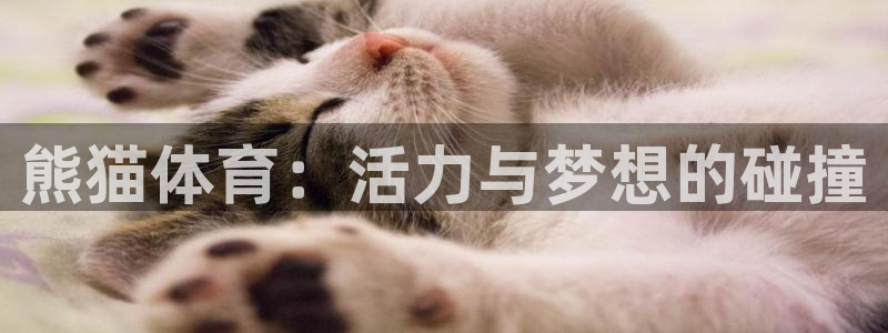 胜天国际主管