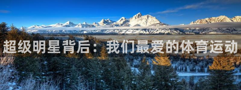 胜天国际体育官网